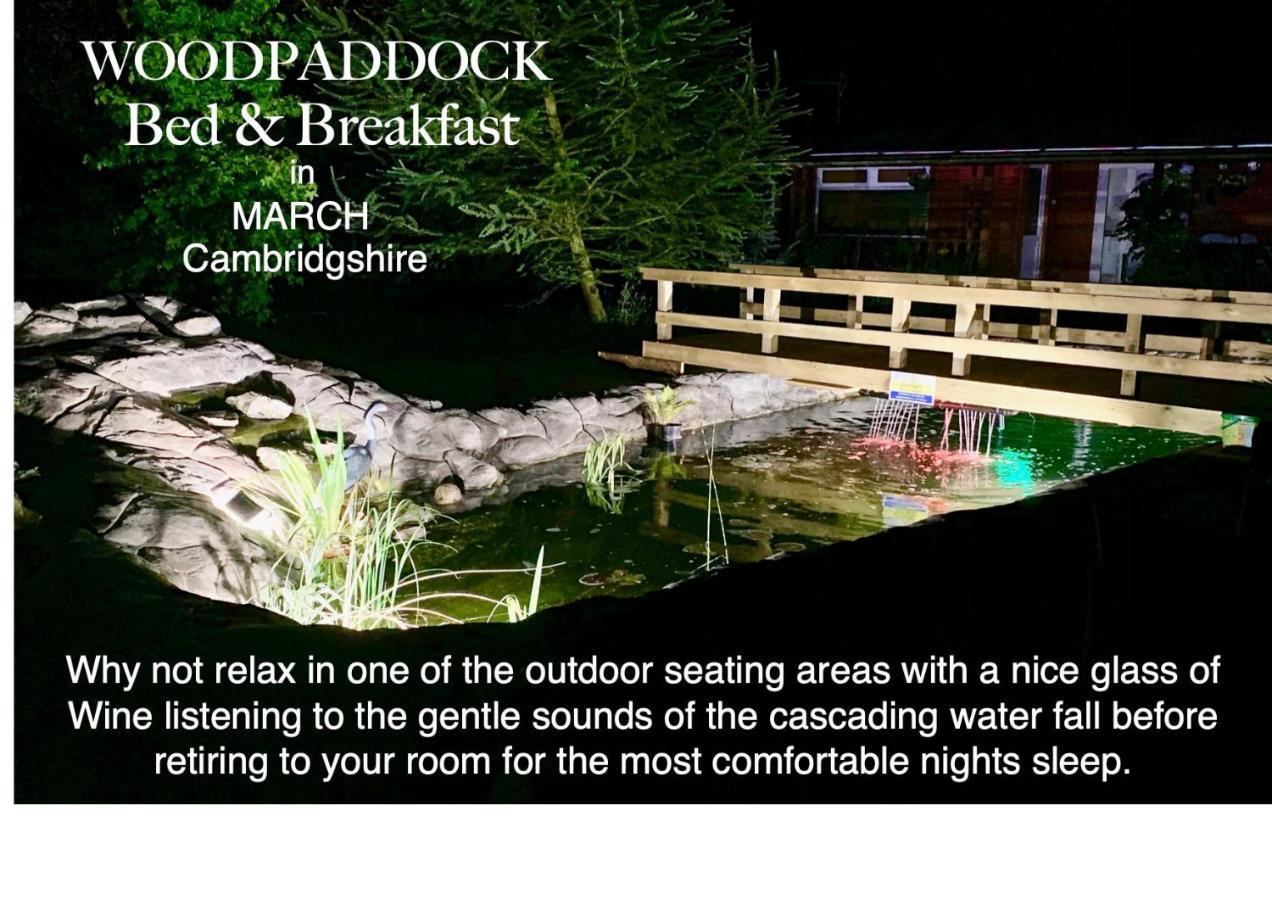 Woodpaddock Bed & Breakfast March Kültér fotó